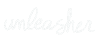 Unleash Phd Student Sticker