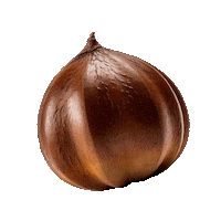 Christmas Nut Sticker by Merchant Gourmet