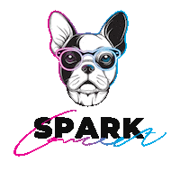 Sparkmirror Sticker by SPARK concept