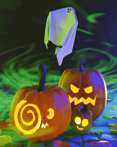 RoFu-Design giphyupload GIF