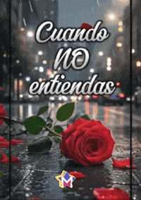 Flores Amigas GIF by Murcianys LLC