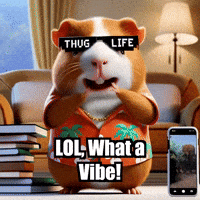 Lol GIF by Guinea Gambino