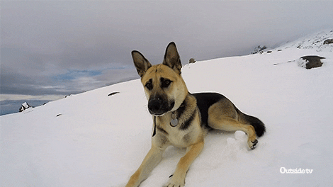 Fun Wow GIF by Outside Watch