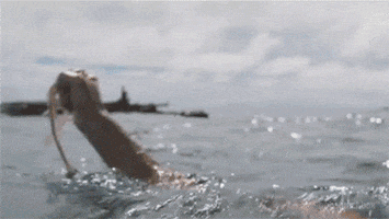 wilson GIF
