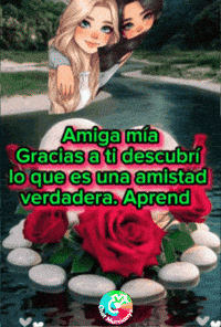 Querer Con Todo GIF by Murcianys LLC