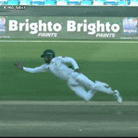 Babar Azam Sydney GIF