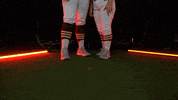 Pearl River Softball GIF by Pearl River Athletics