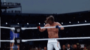 wrestlemania 33 wrestling GIF by WWE