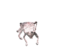 Happy Dance Sticker by The Swan Collective