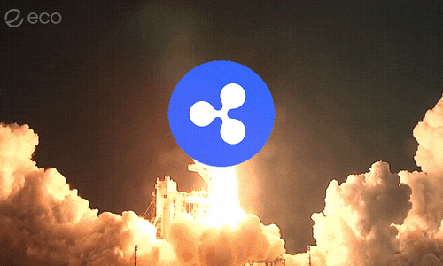 To The Moon Crypto GIF by Eco