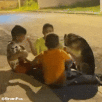Dog Latino GIF