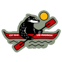 Wisconsin Badgers Sticker by uwmadison