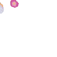 Flowers Effects Sticker by Horomia