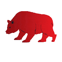 Bear New Post Sticker by Technical FX