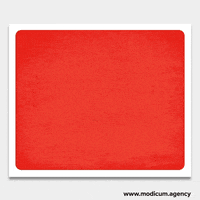 Go Open For Business GIF by Modicum