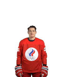 Ice Hockey Goal Sticker by International Ice Hockey Federation