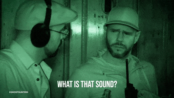 Ghost Hunters Ghosts GIF by travelchannel