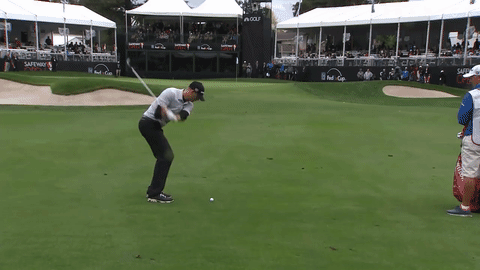 GIF by Wilson Golf