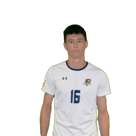 Clarke Mens Soccer Sticker by Clarke University