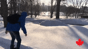 Contemporary Art Video GIF