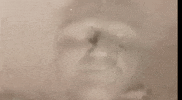 Contemporary Art Video GIF