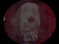 Contemporary Art Video GIF