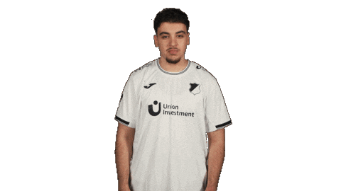 Tsg Hoffenheim Applause Sticker by Bundesliga