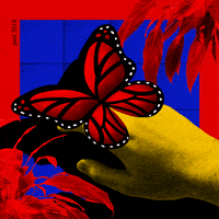animation art GIF by Pedro Miranda Filho