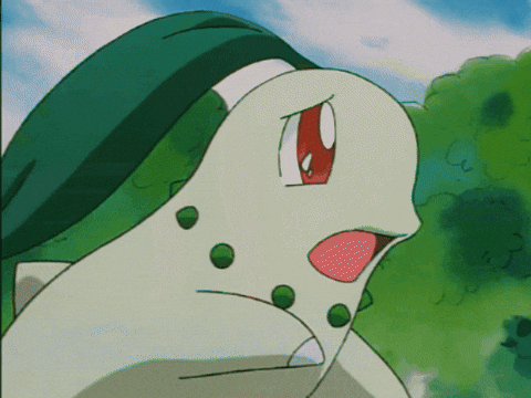 Leaf Running GIF by Pokémon