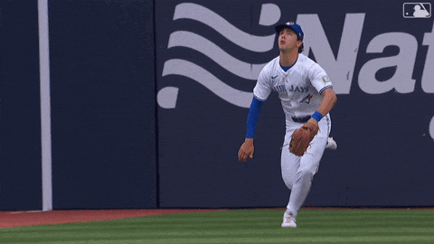 Blue Jays Baseball GIF by Toronto Blue Jays