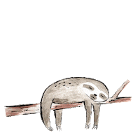 minipresents chill ko sloth mini Sticker