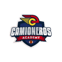 Football Sticker by Camioneros de Coslada
