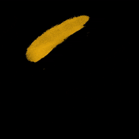 tasakovaaart happy yellow world happiness GIF