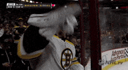 happy ice hockey GIF by NHL