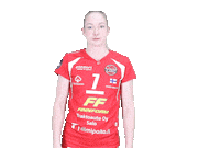LP_Viesti lp viesti mestaruusliiga anna czakan Sticker