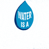 Clean Water GIF by Viva con Agua