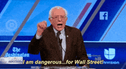Bernie Sanders Democrat GIF by Univision Noticias