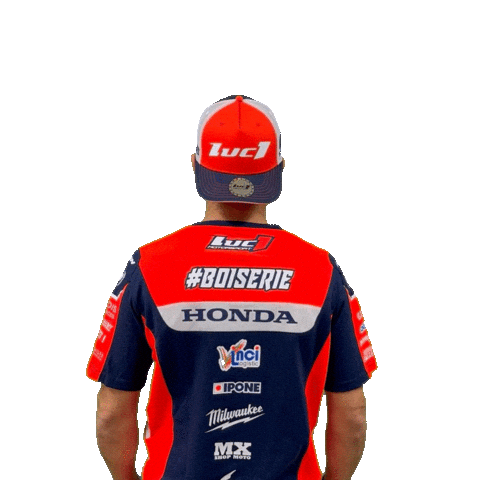 Honda Boiserie Sticker by Luc1
