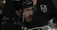 ice hockey no GIF by NHL