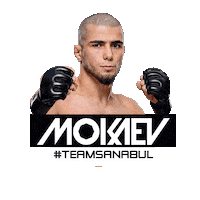 Mma Ufc Sticker by Sanabul
