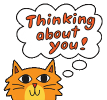 Thinking About You Cat Sticker by joeyahlbum