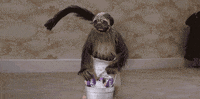 super bowl 2016 GIF by Mountain Dew