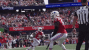 Football Nfl GIF by New England Patriots