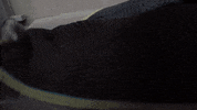 the 4th awakens sword GIF by SYFY