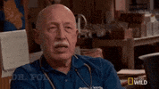 nat geo wild pet GIF by The Incredible Dr. Pol