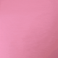 jackieland pink whatever nike gif artist GIF