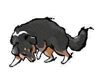 Cat Dog Sticker