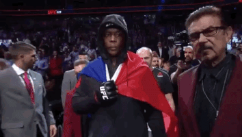 ufc 229 sport GIF by UFC