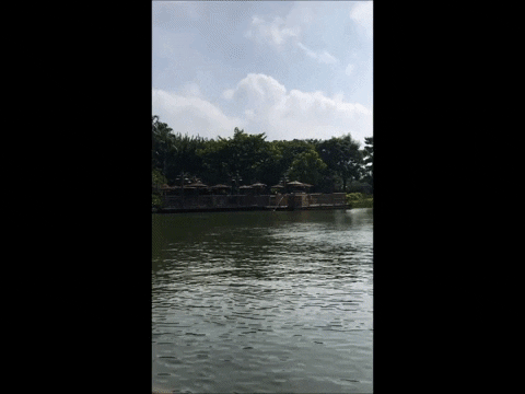 lesleywake giphygifmaker GIF