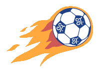 Santa Teresa Soccer Sticker by Saint Theresa Bilingual School